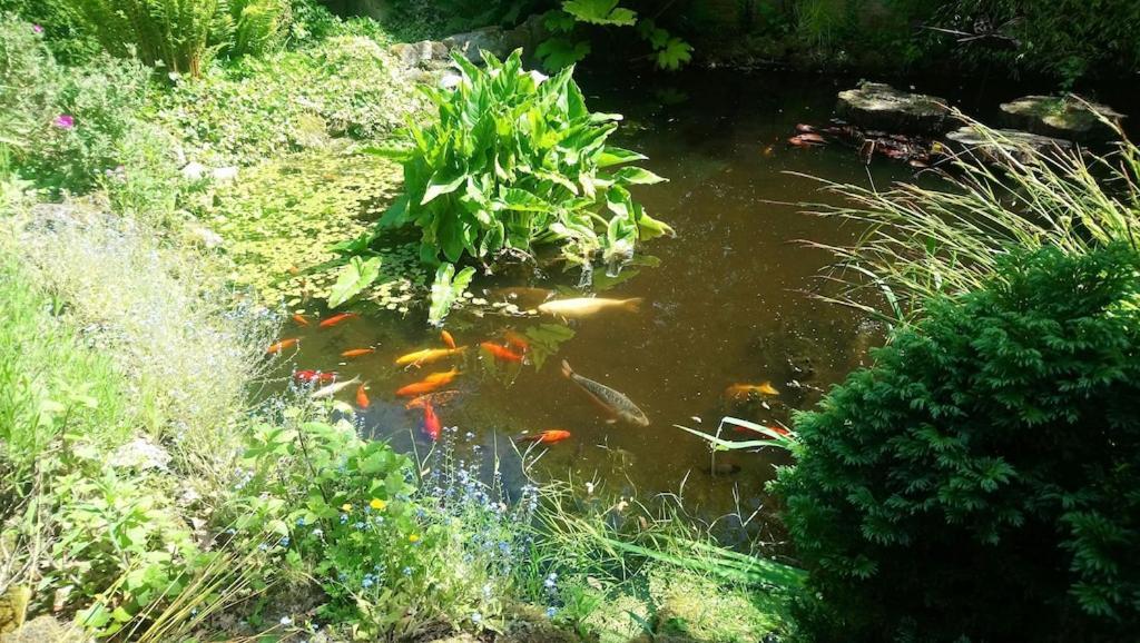'Monktonmead Lodge' In Secluded Setting, With Private Indoor Pool. Ryde  Esterno foto