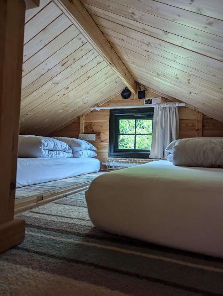 'Monktonmead Lodge' In Secluded Setting, With Private Indoor Pool. Ryde  Esterno foto
