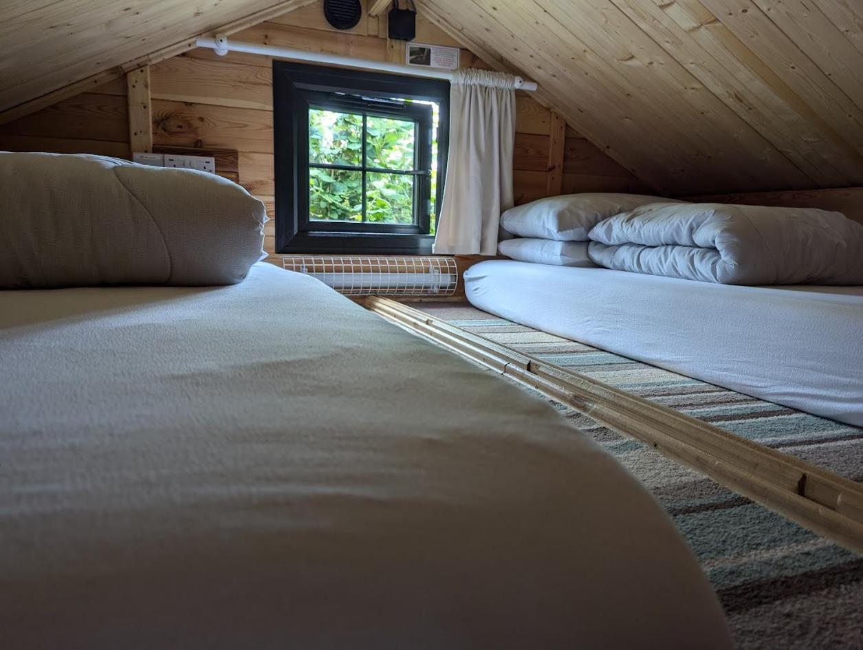'Monktonmead Lodge' In Secluded Setting, With Private Indoor Pool. Ryde  Esterno foto